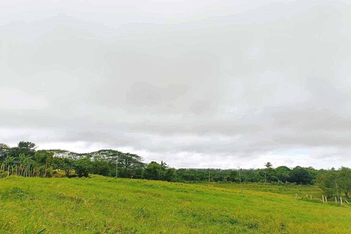 Land for Sale in Bilog, Alfonso, Cavite – photo 2