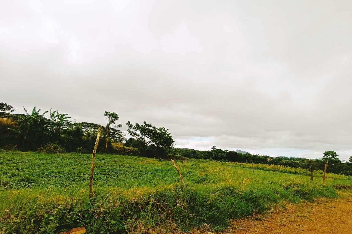 Land for Sale in Bilog, Alfonso, Cavite – photo 3