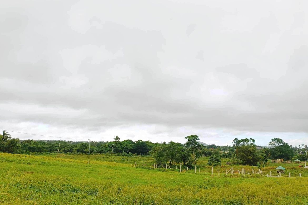 Land for Sale in Bilog, Alfonso, Cavite – photo 4
