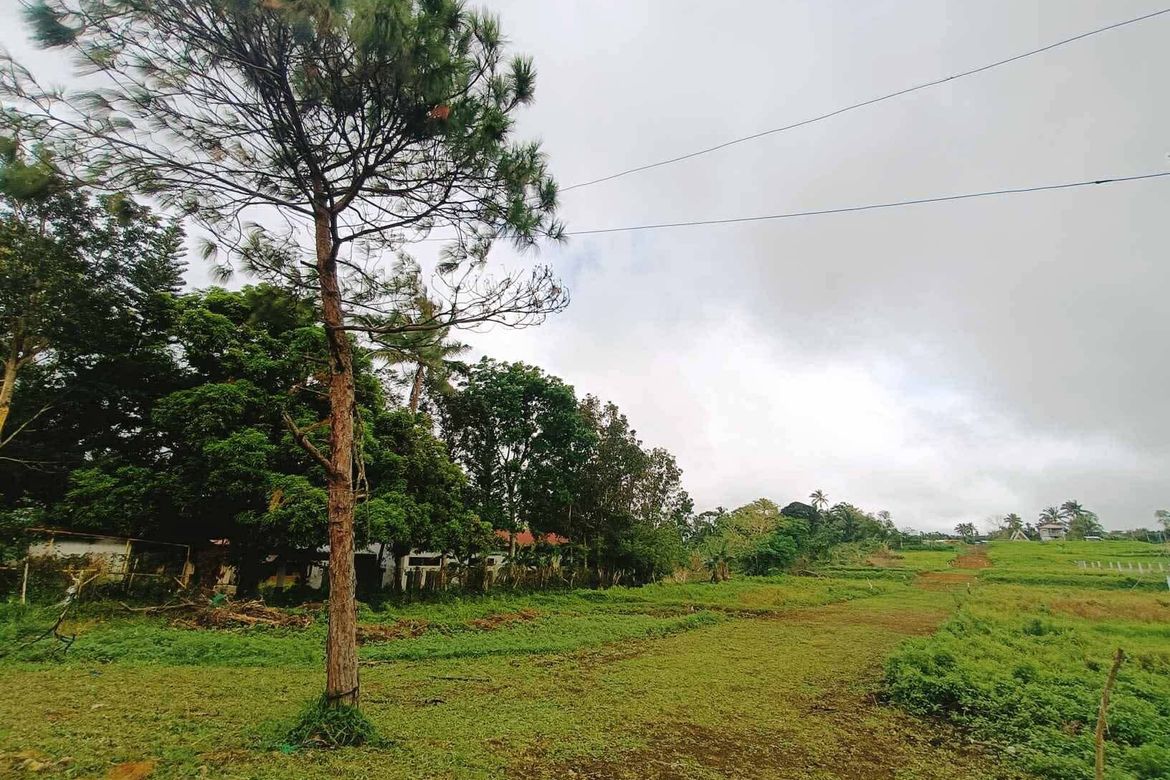 Land for Sale in Bilog, Alfonso, Cavite – photo 5