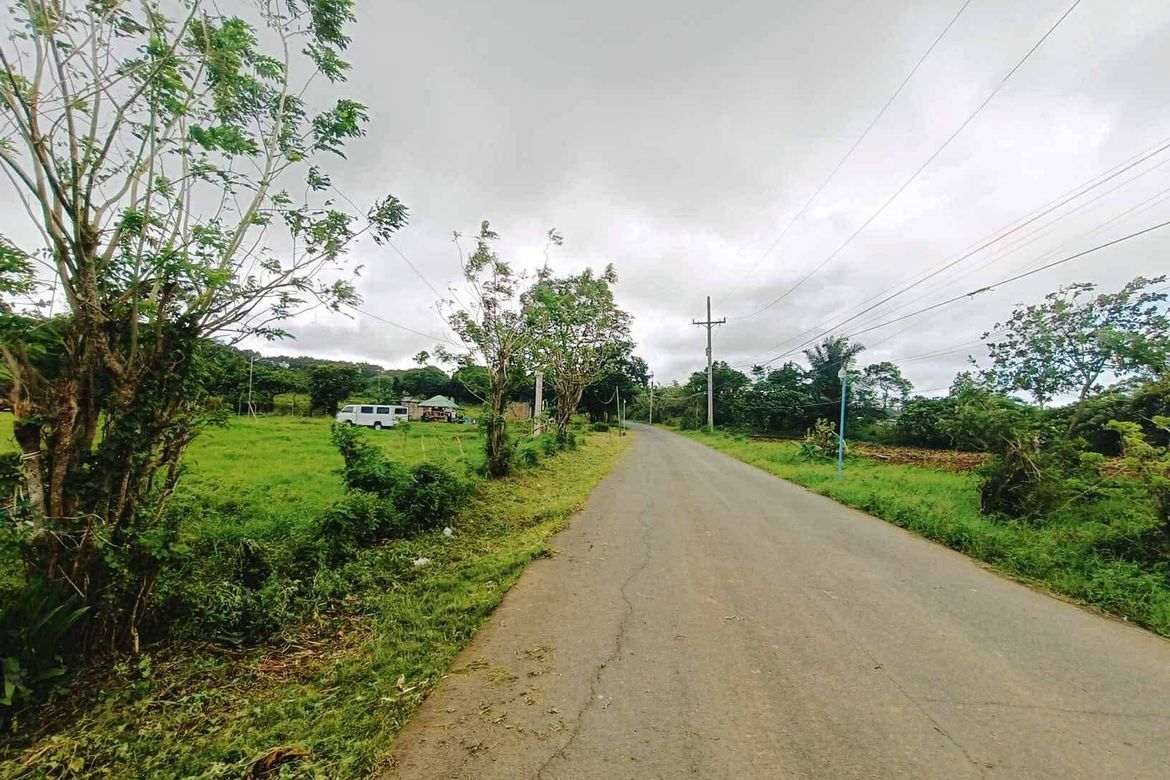 Land for Sale in Bilog, Alfonso, Cavite – photo 7