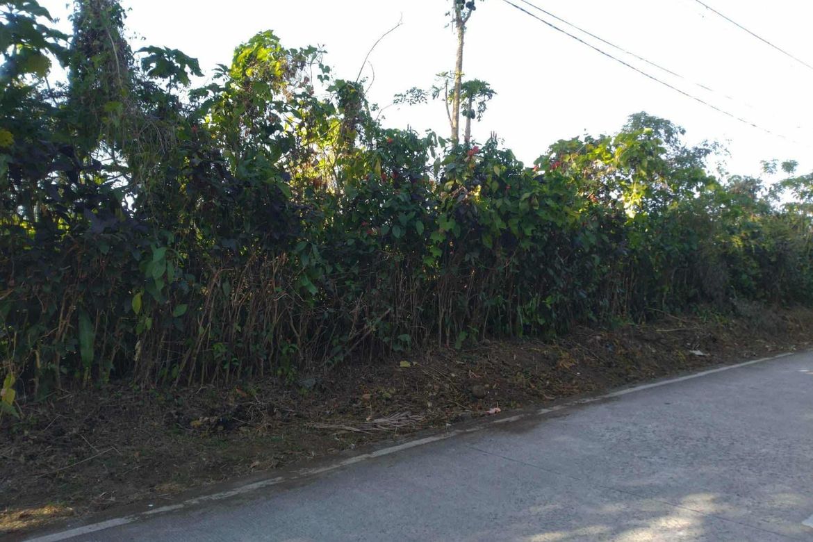 Land for Sale in Bilog, Alfonso, Cavite – photo 2