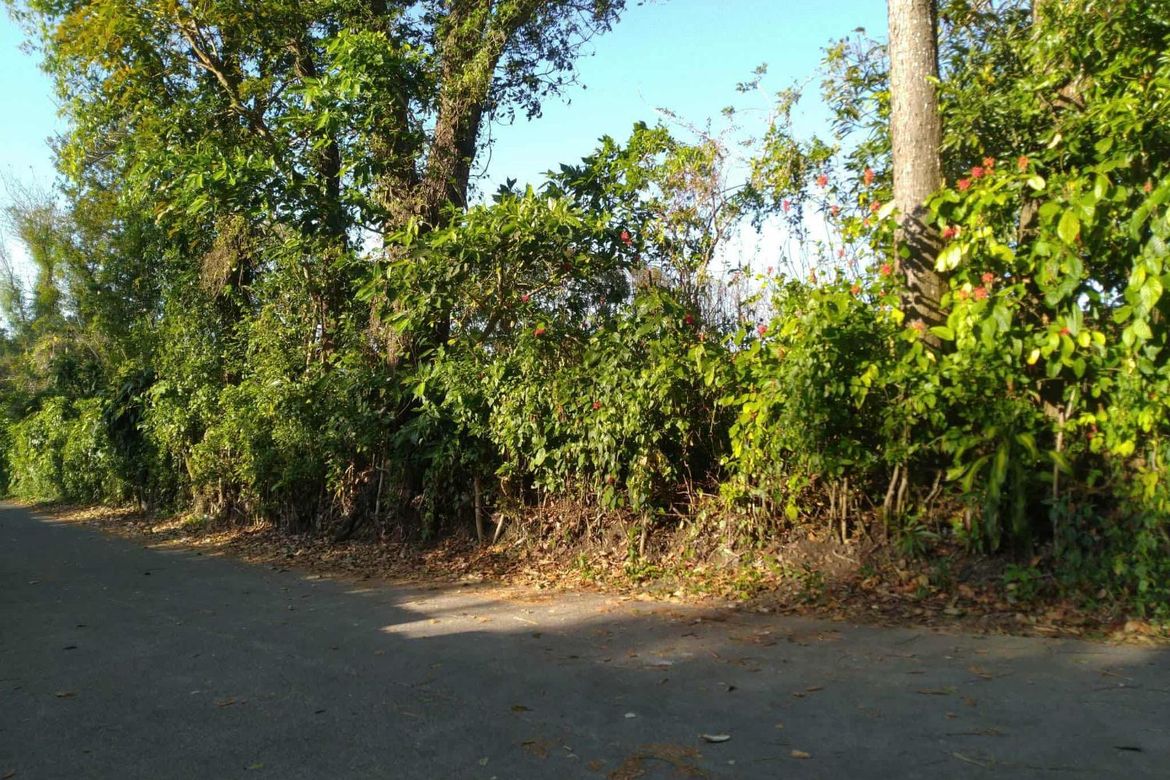 Land for Sale in Bilog, Alfonso, Cavite – photo 4