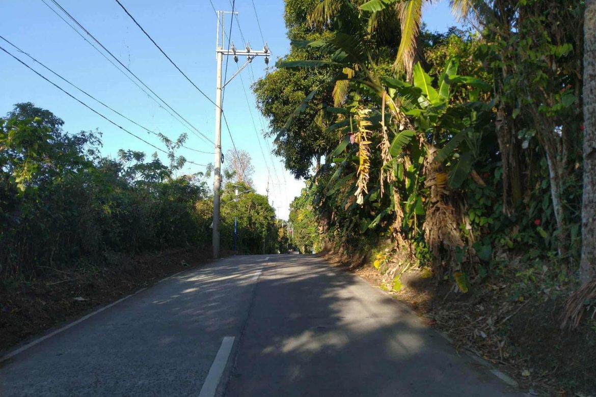Land for Sale in Bilog, Alfonso, Cavite – photo 5