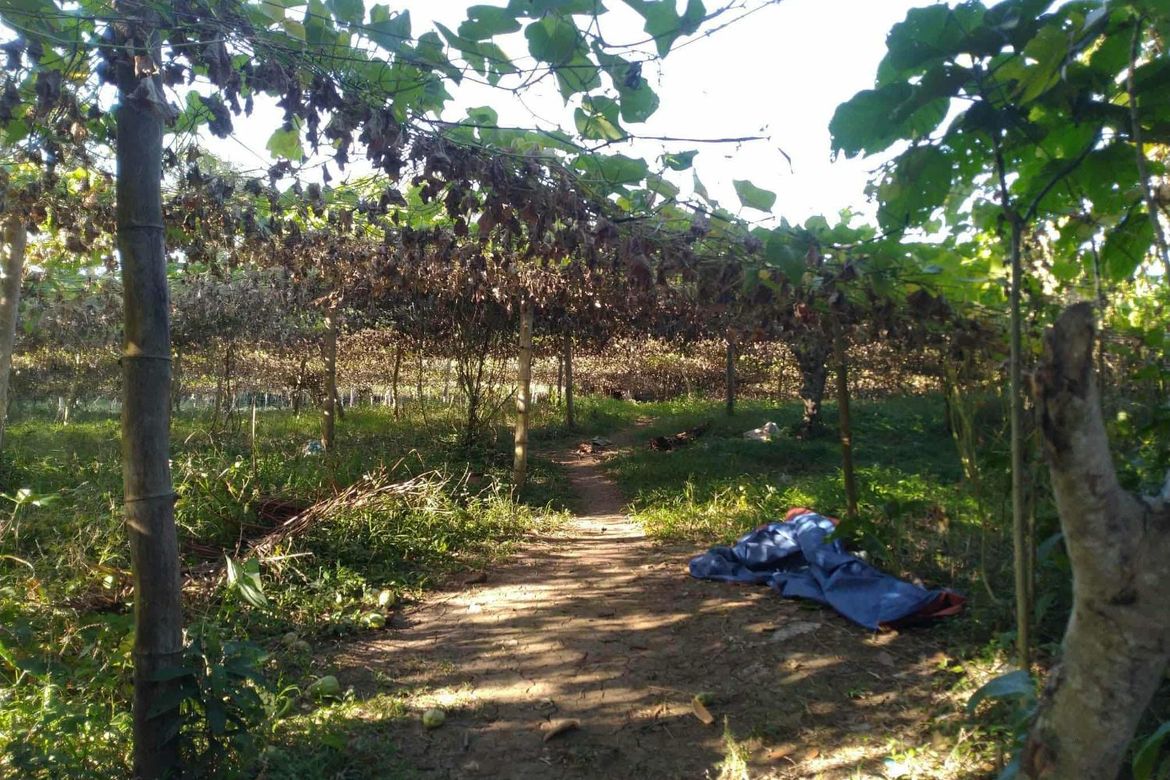 Land for Sale in Bilog, Alfonso, Cavite – photo 6