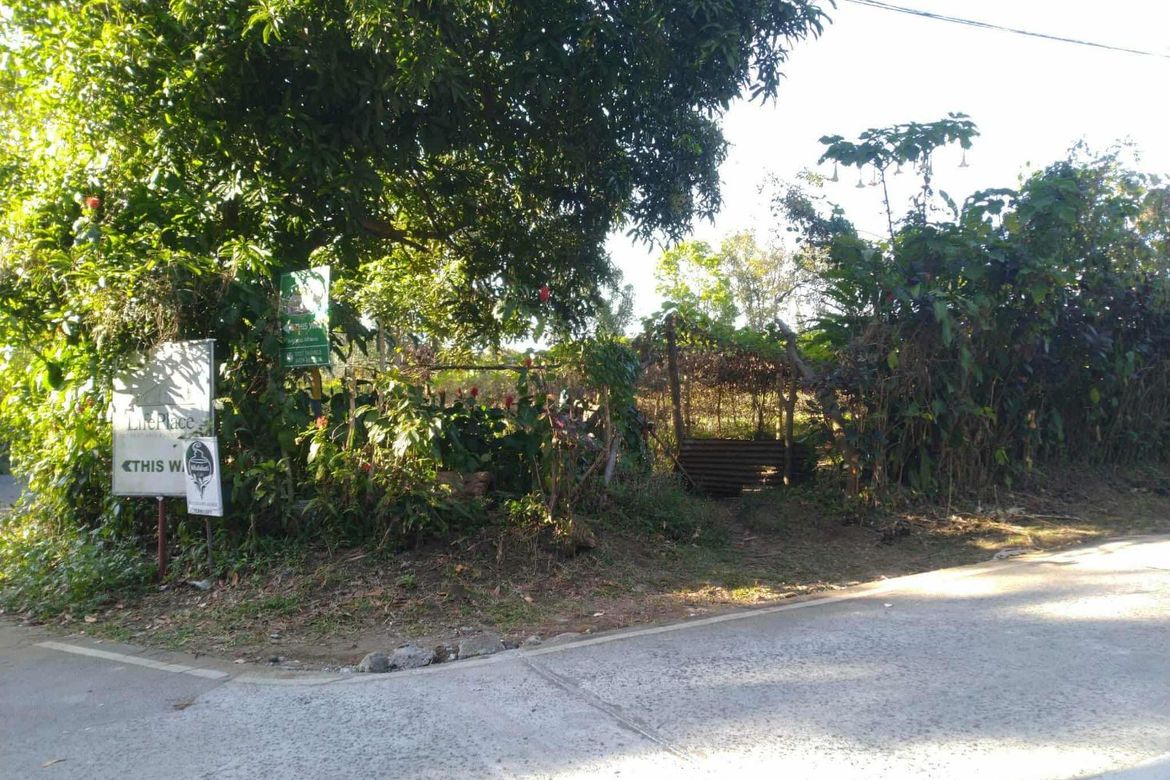 Land for Sale in Bilog, Alfonso, Cavite – photo 7