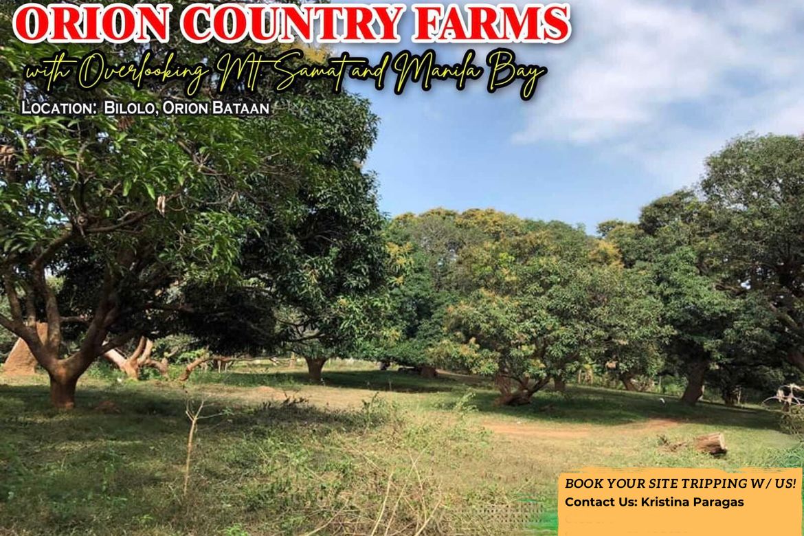 Land for Sale in Bilolo, Orion, Bataan – photo 6