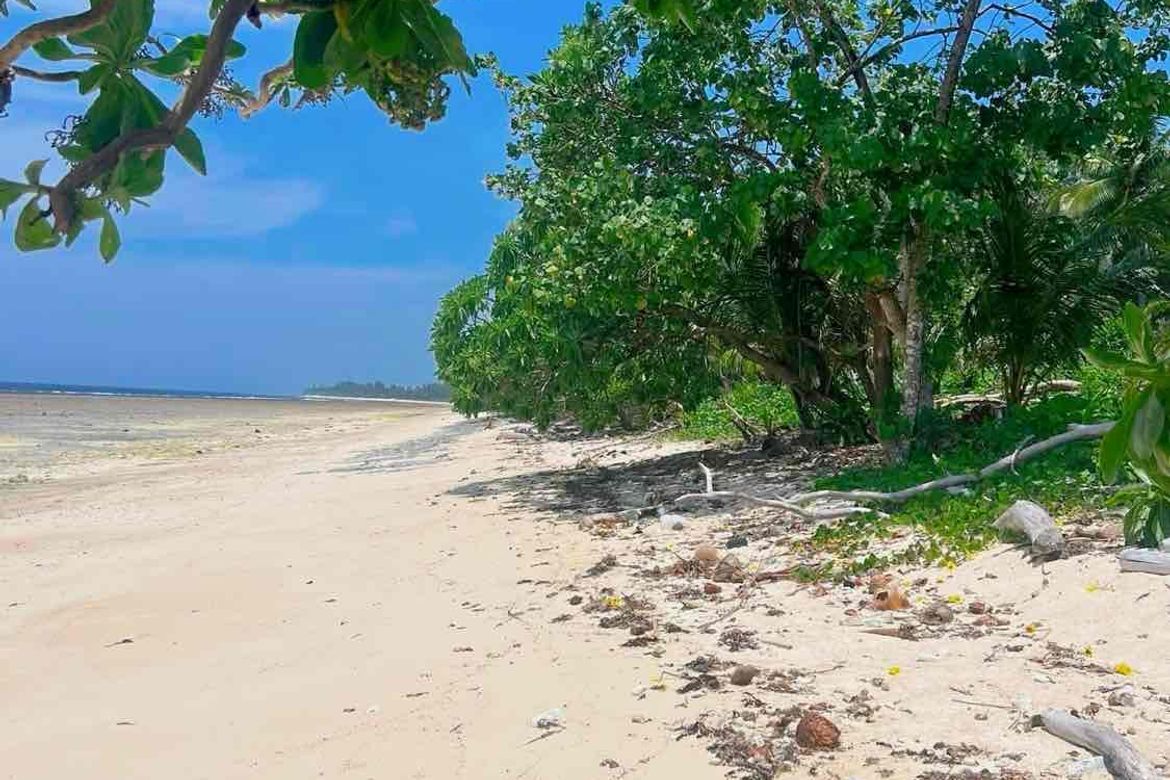 Land for Sale in Bilucao, Pitogo, Quezon – photo 5