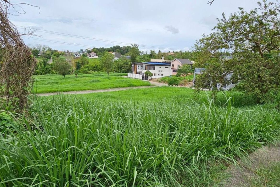 Land for Sale in Biluso, Silang, Cavite – photo 3