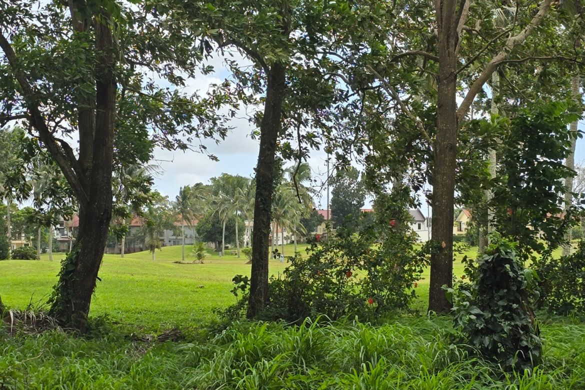 Land for Sale in Biluso, Silang, Cavite – photo 2