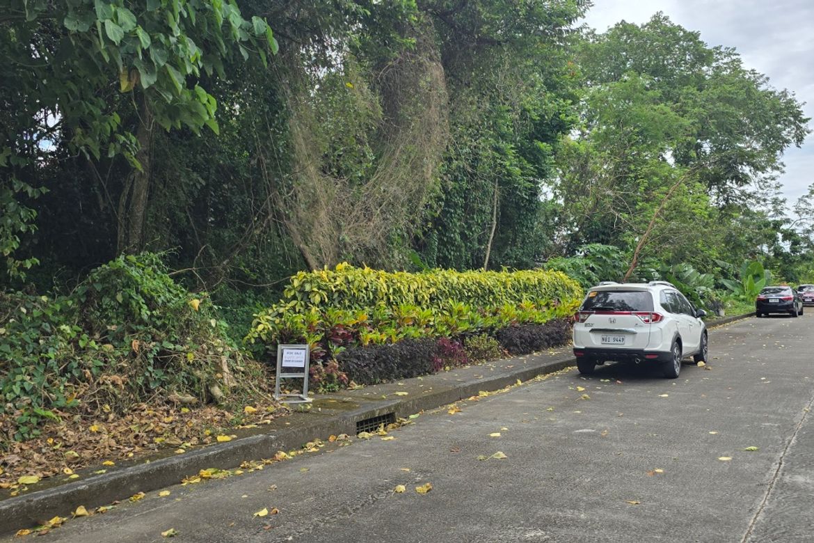 Land for Sale in Biluso, Silang, Cavite – photo 3