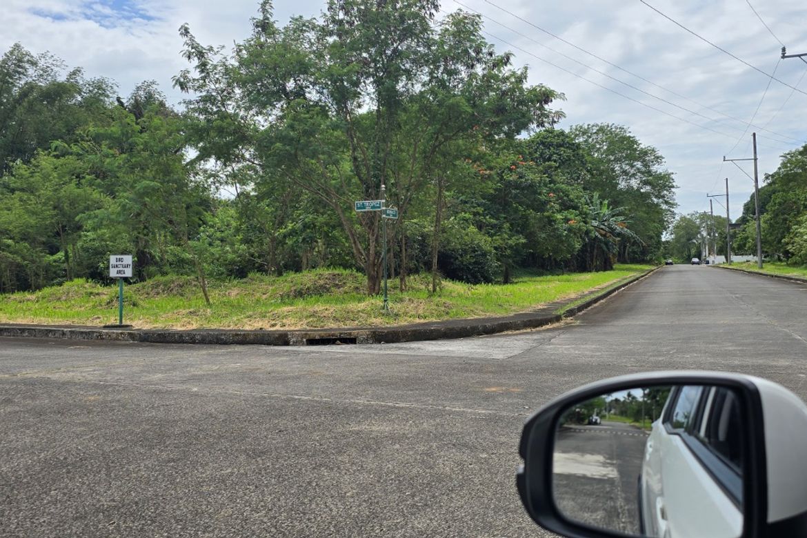 Land for Sale in Biluso, Silang, Cavite – photo 6