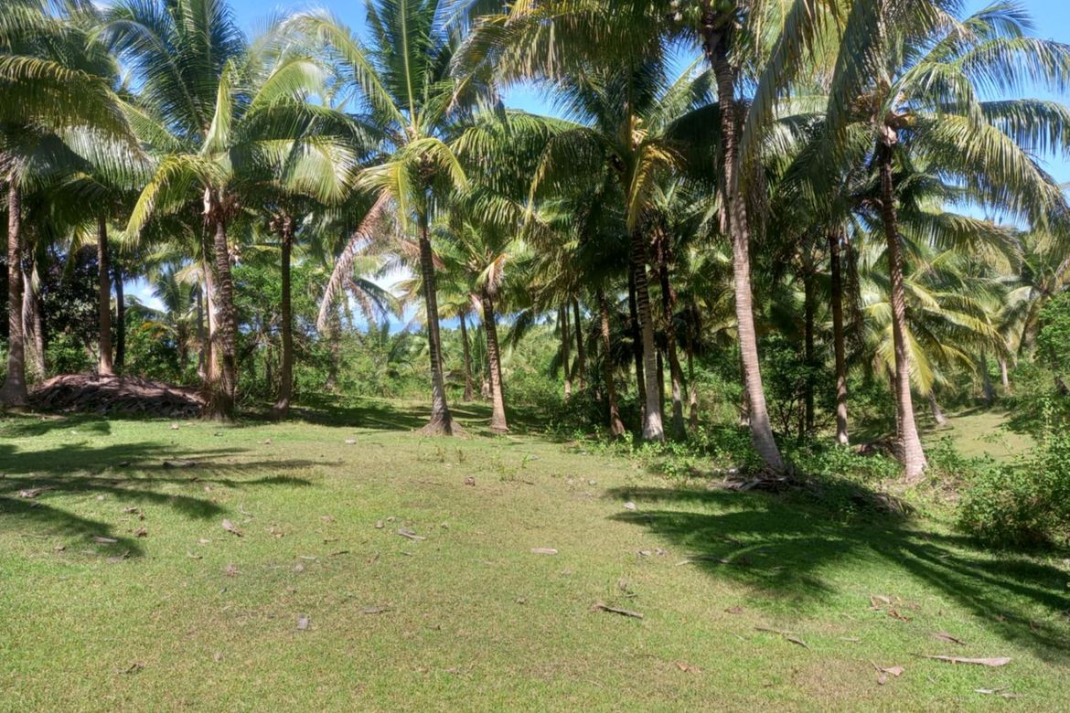 Land for Sale in Binahan Proper, Ragay, Camarines Sur