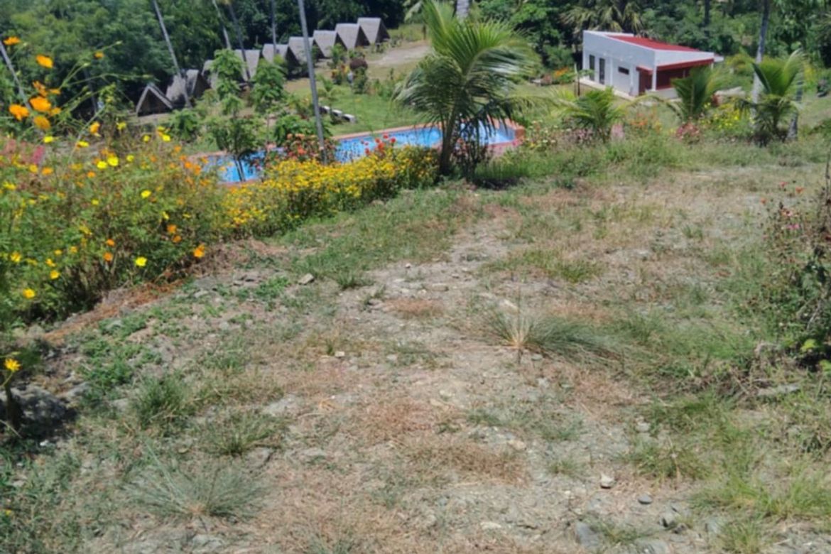 Land for Sale in Binahan Proper, Ragay, Camarines Sur – photo 8