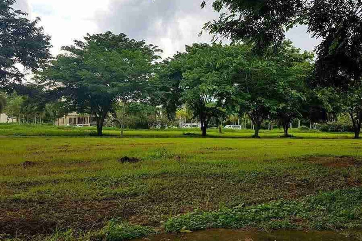Land for Sale in Biñan, Laguna