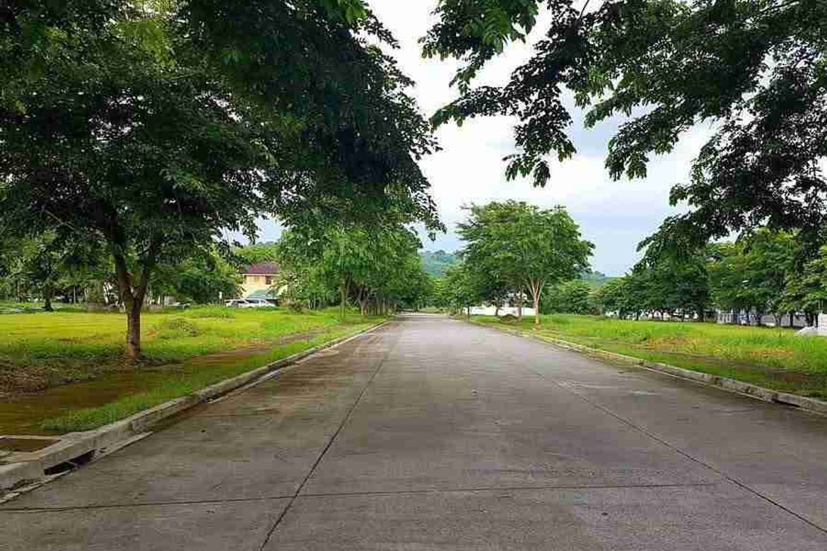 Land for Sale in Biñan, Laguna – photo 2