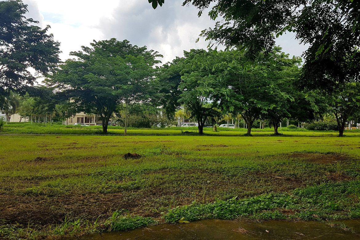Land for Sale in Biñan, Laguna – photo 2