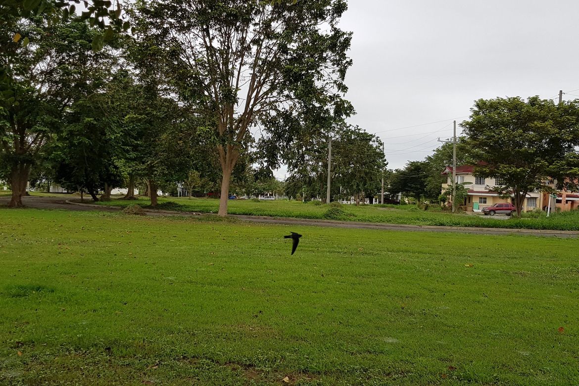 Land for Sale in Biñan, Laguna – photo 5