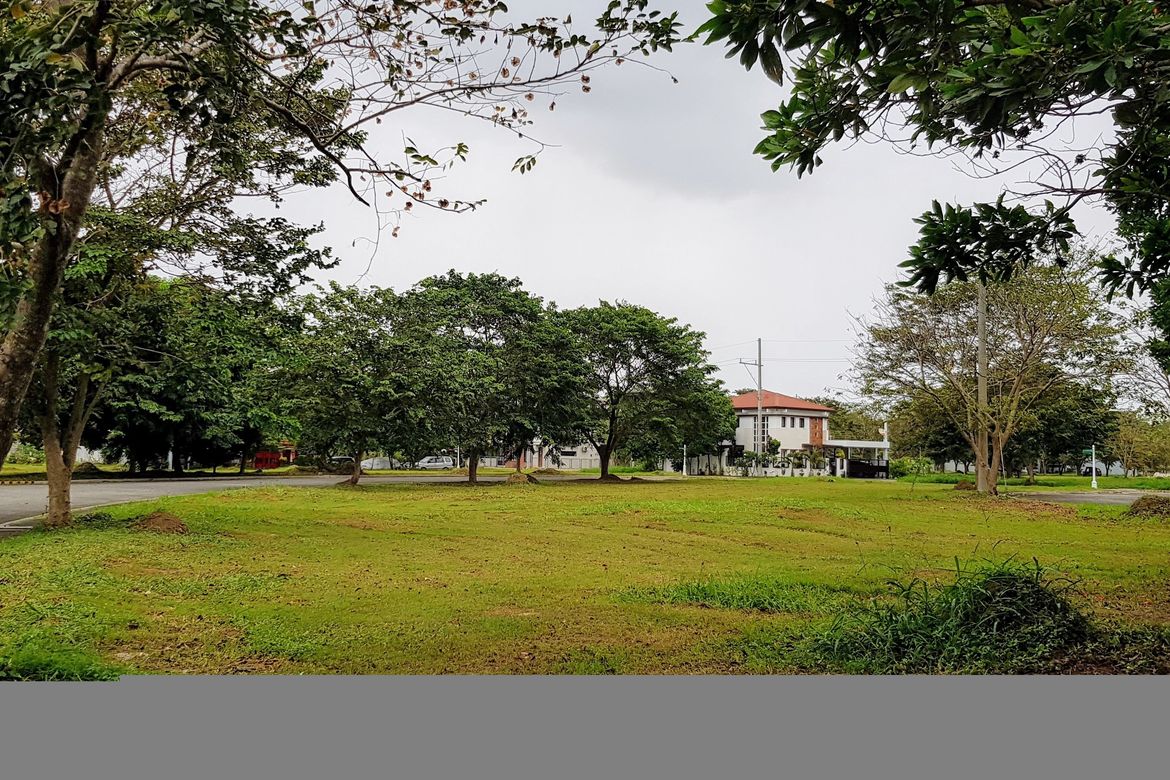 Land for Sale in Biñan, Laguna – photo 7
