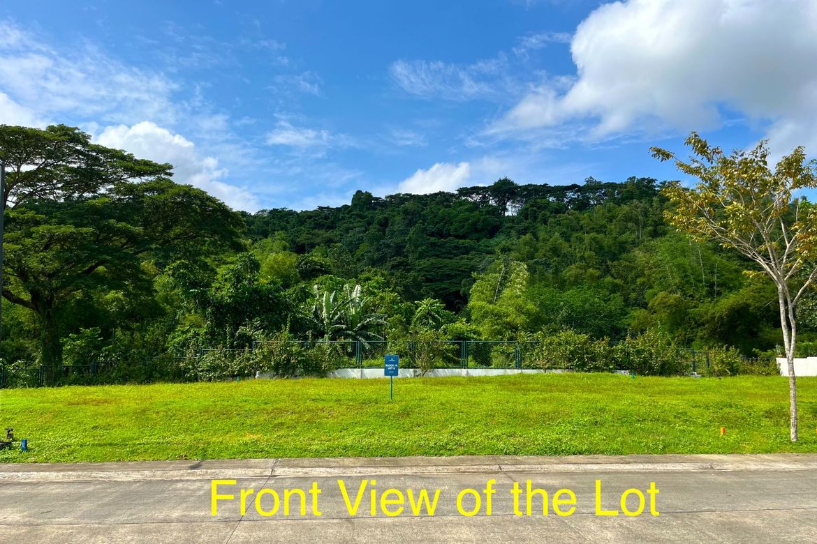 Land for Sale in Biñan, Laguna – photo 3