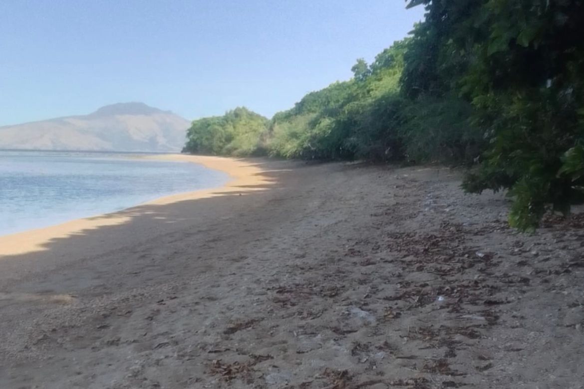 Land for Sale in Binaritan, Morong, Bataan – photo 2
