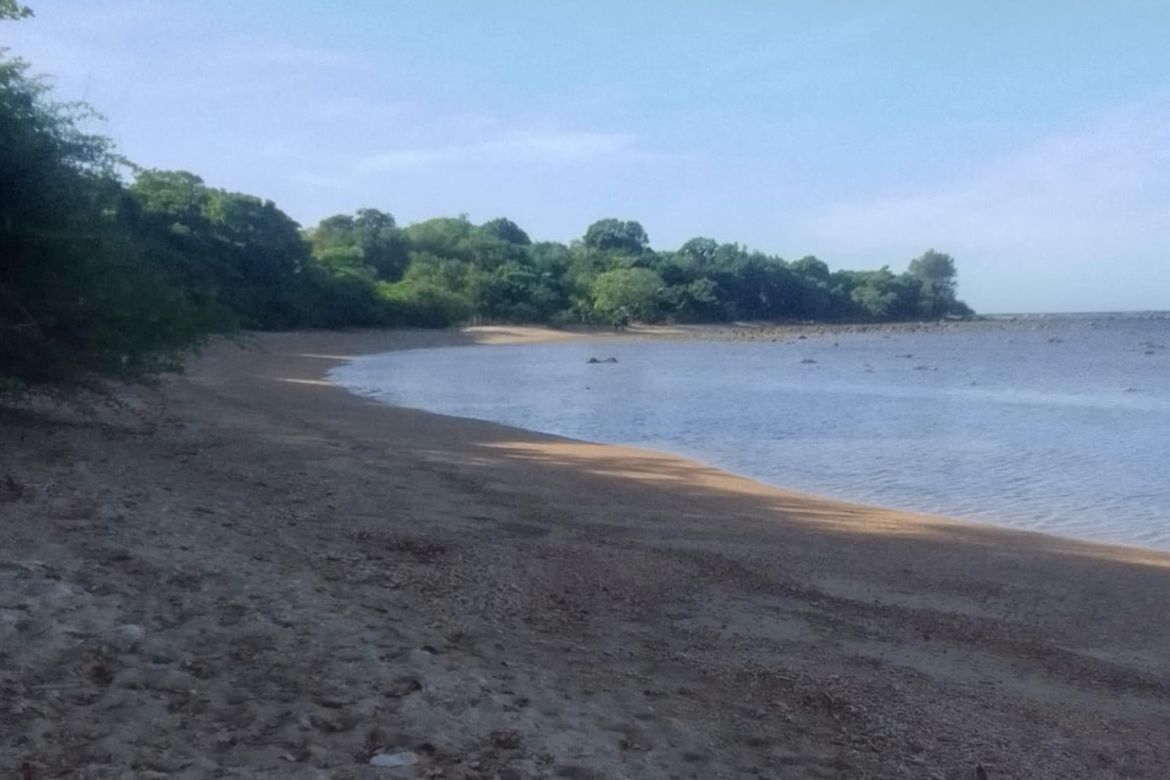 Land for Sale in Binaritan, Morong, Bataan – photo 3