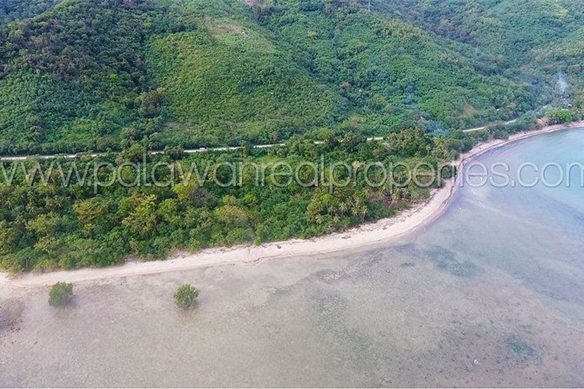 Land for Sale in Binduyan, Puerto Princesa, Palawan – photo 3