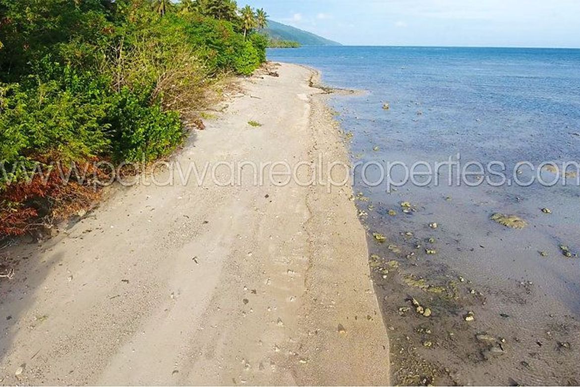 Land for Sale in Binduyan, Puerto Princesa, Palawan – photo 6