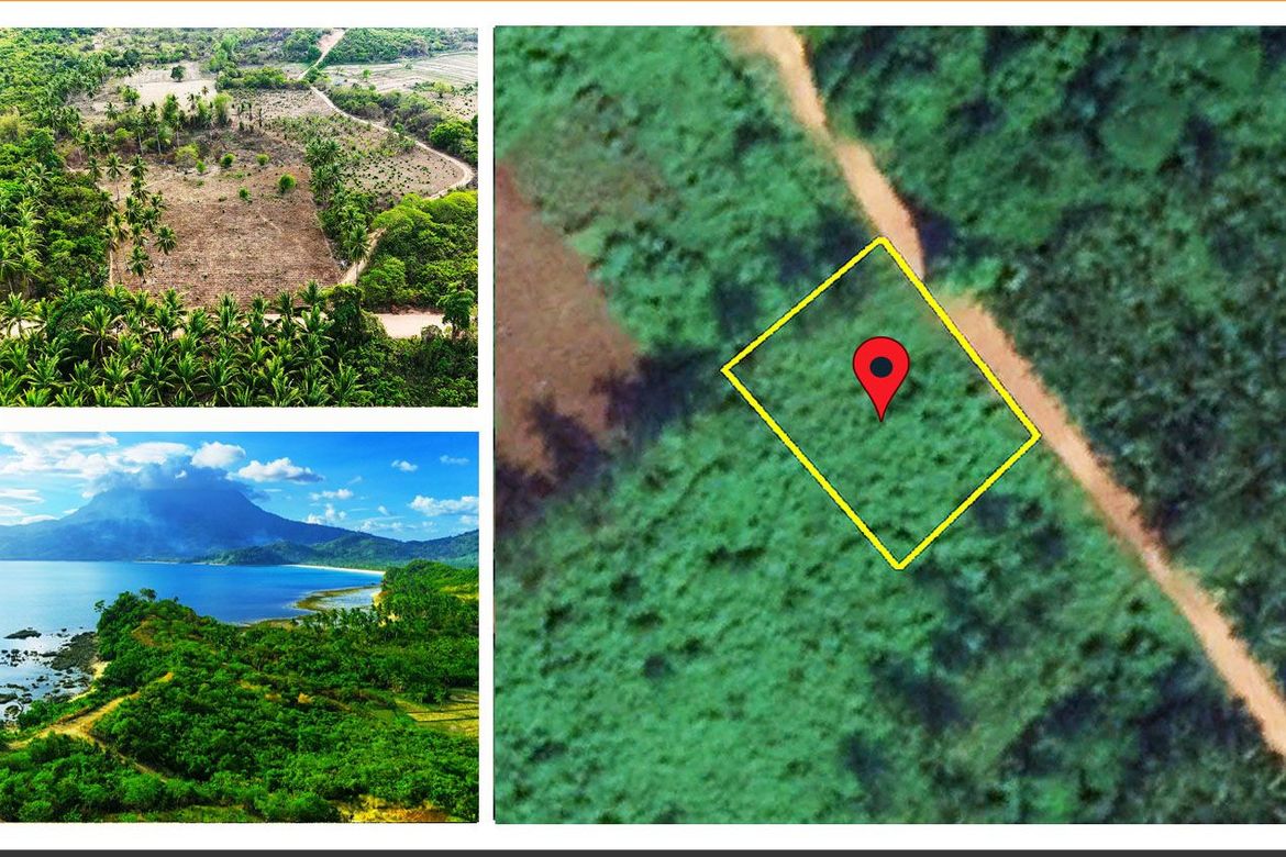 Land for Sale in Binga, San Vicente, Palawan
