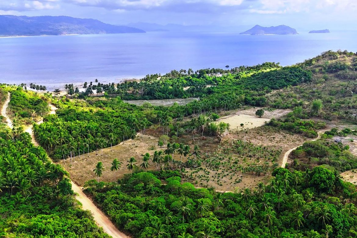 Land for Sale in Binga, San Vicente, Palawan – photo 4