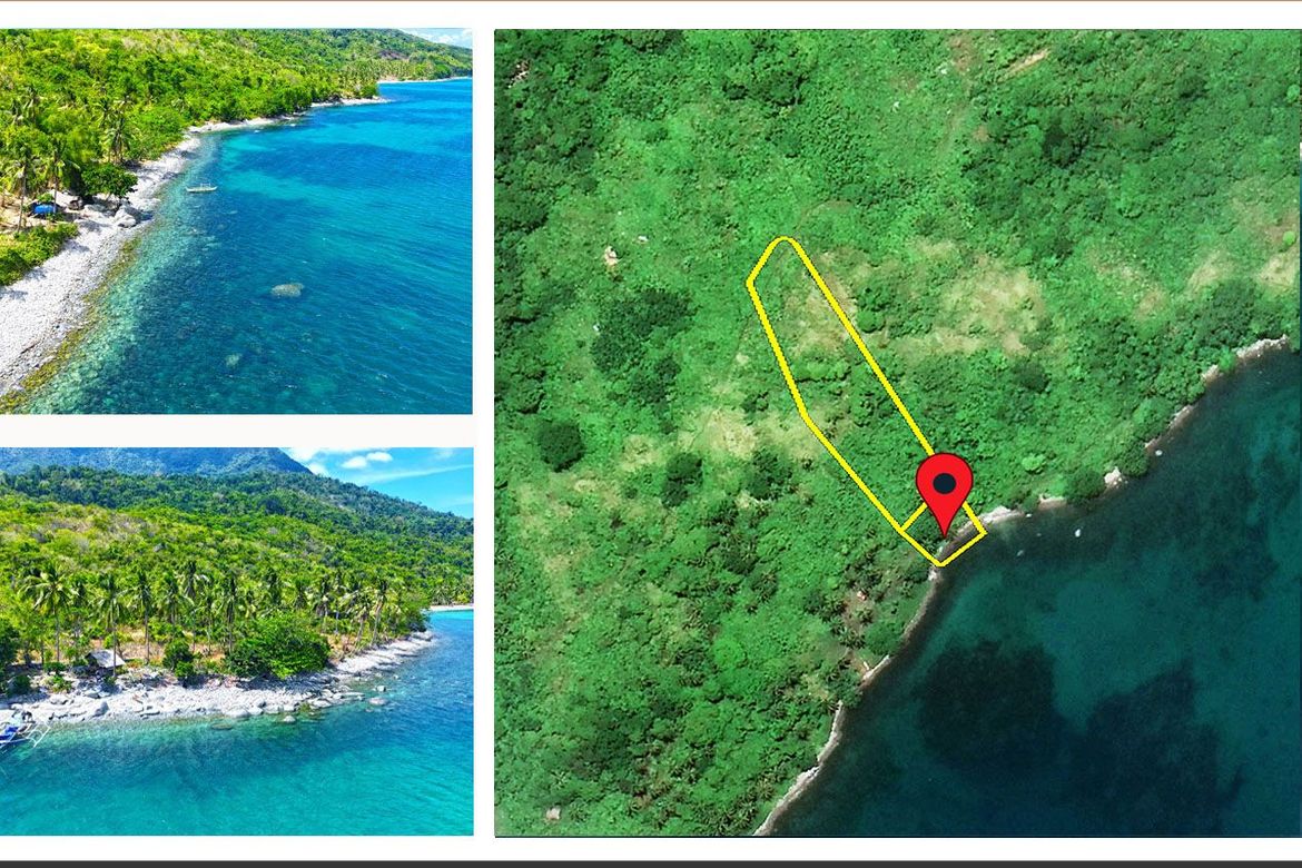 Land for Sale in Binga, San Vicente, Palawan