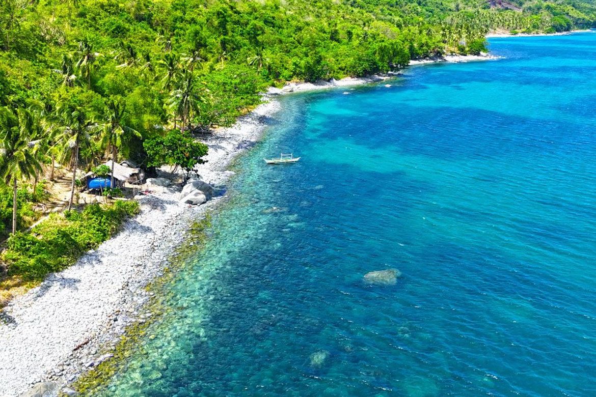Land for Sale in Binga, San Vicente, Palawan – photo 2