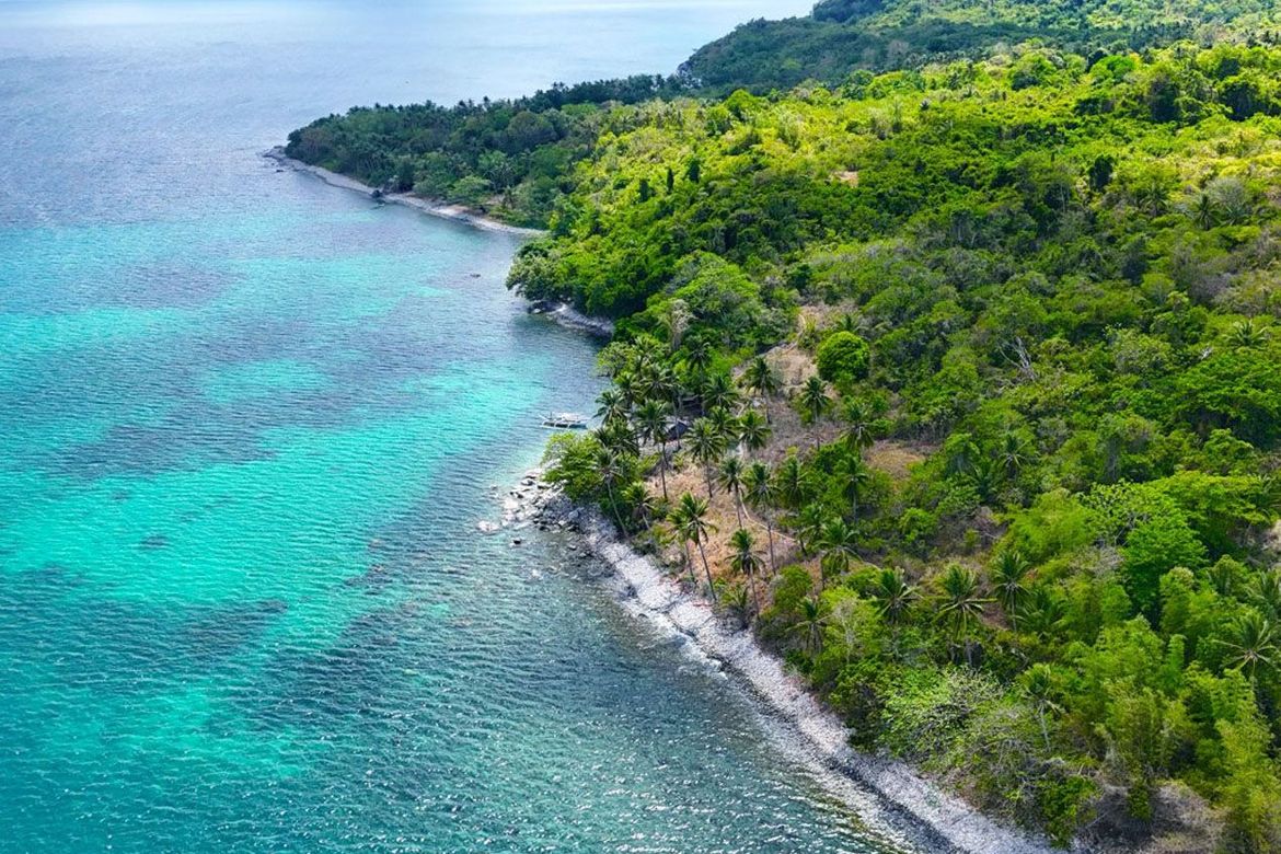 Land for Sale in Binga, San Vicente, Palawan – photo 7