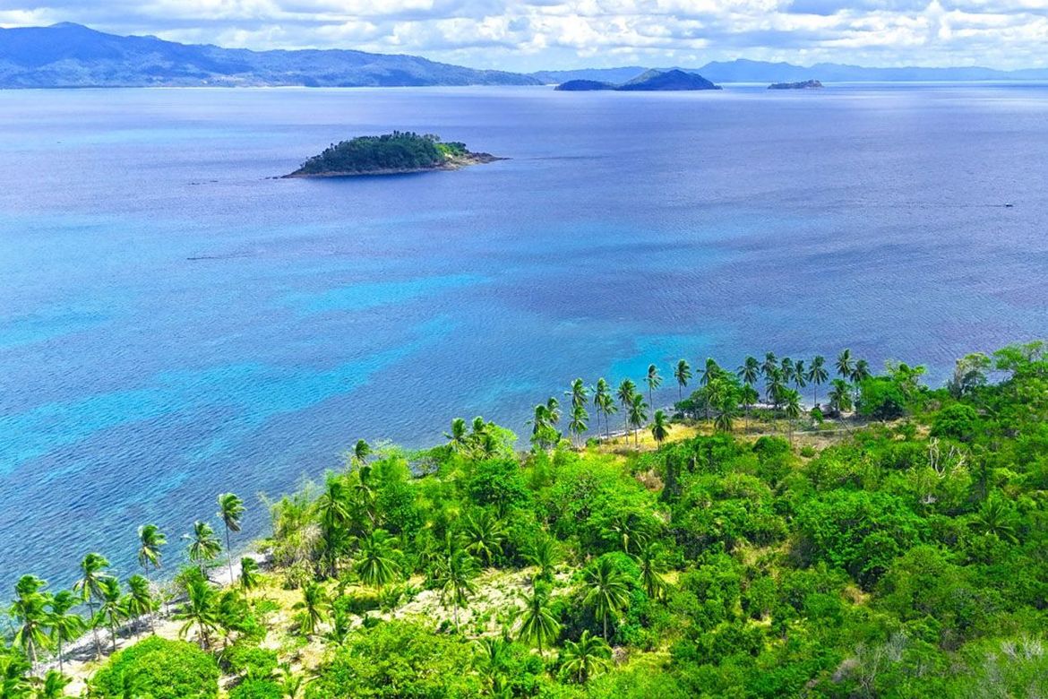 Land for Sale in Binga, San Vicente, Palawan – photo 8