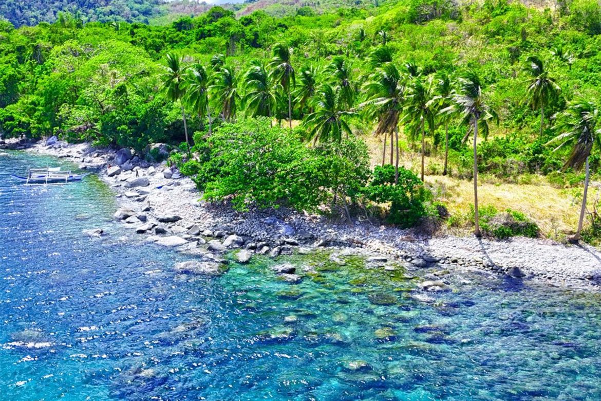 Land for Sale in Binga, San Vicente, Palawan – photo 4