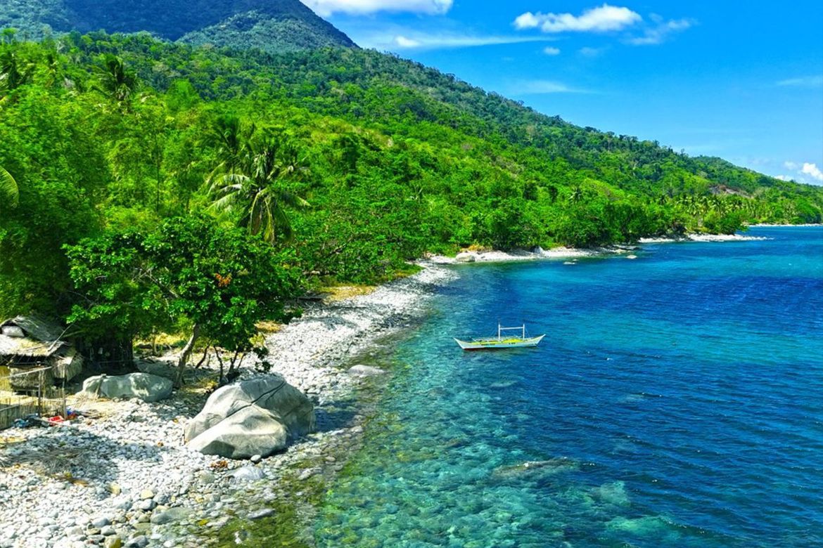 Land for Sale in Binga, San Vicente, Palawan – photo 6