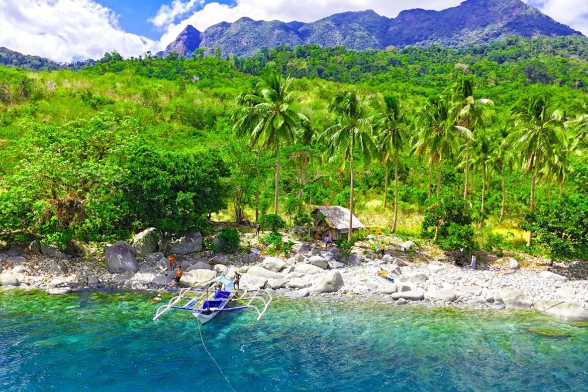 Land for Sale in Binga, San Vicente, Palawan – photo 7