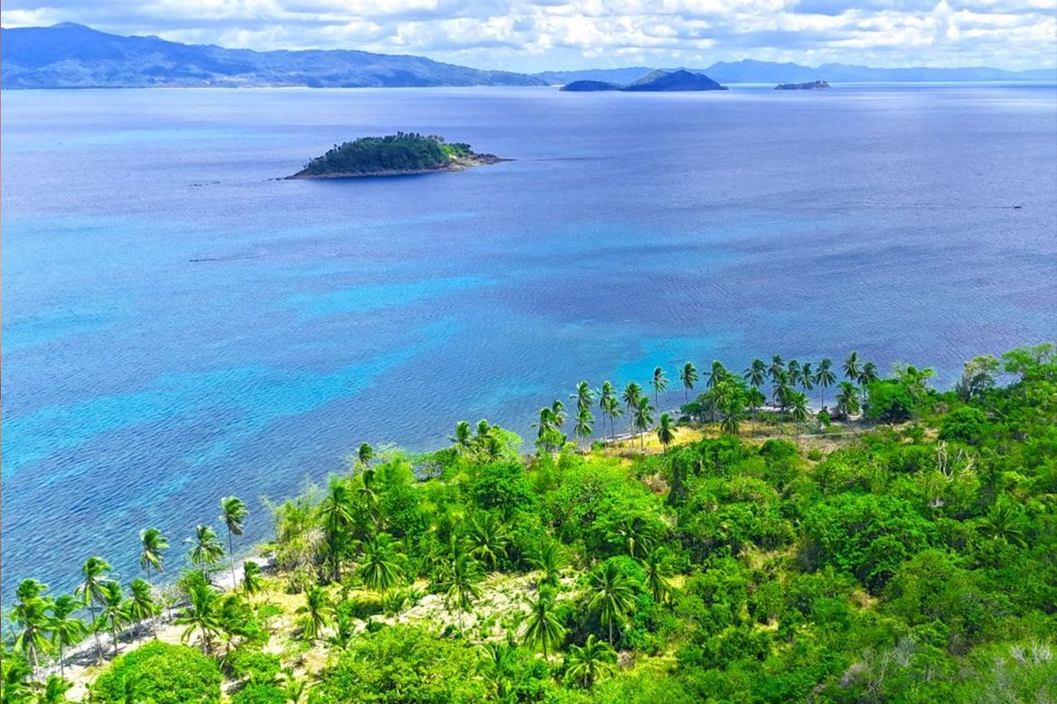 Land for Sale in Binga, San Vicente, Palawan – photo 8