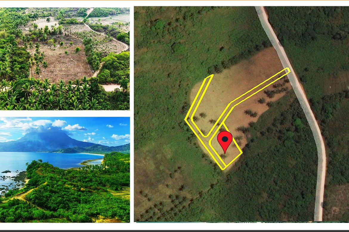Land for Sale in Binga, San Vicente, Palawan