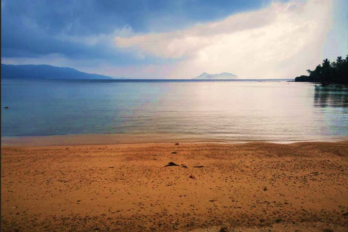Land for Sale in Binga, San Vicente, Palawan