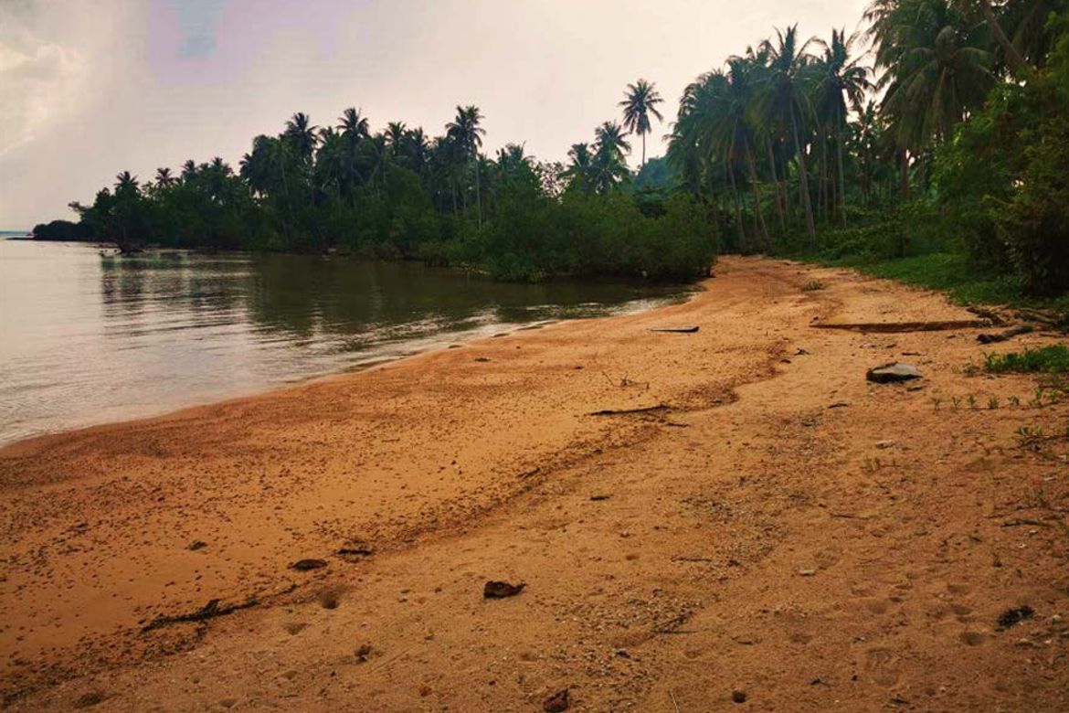 Land for Sale in Binga, San Vicente, Palawan – photo 3