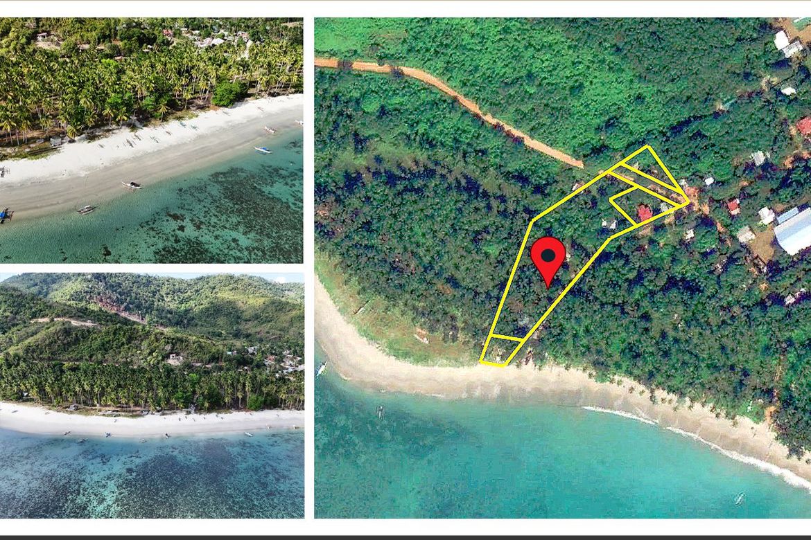 Land for Sale in Binga, San Vicente, Palawan