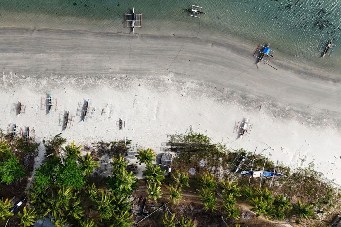 Land for Sale in Binga, San Vicente, Palawan – photo 6