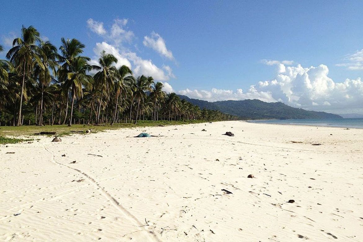 Land for Sale in Binga, San Vicente, Palawan – photo 8