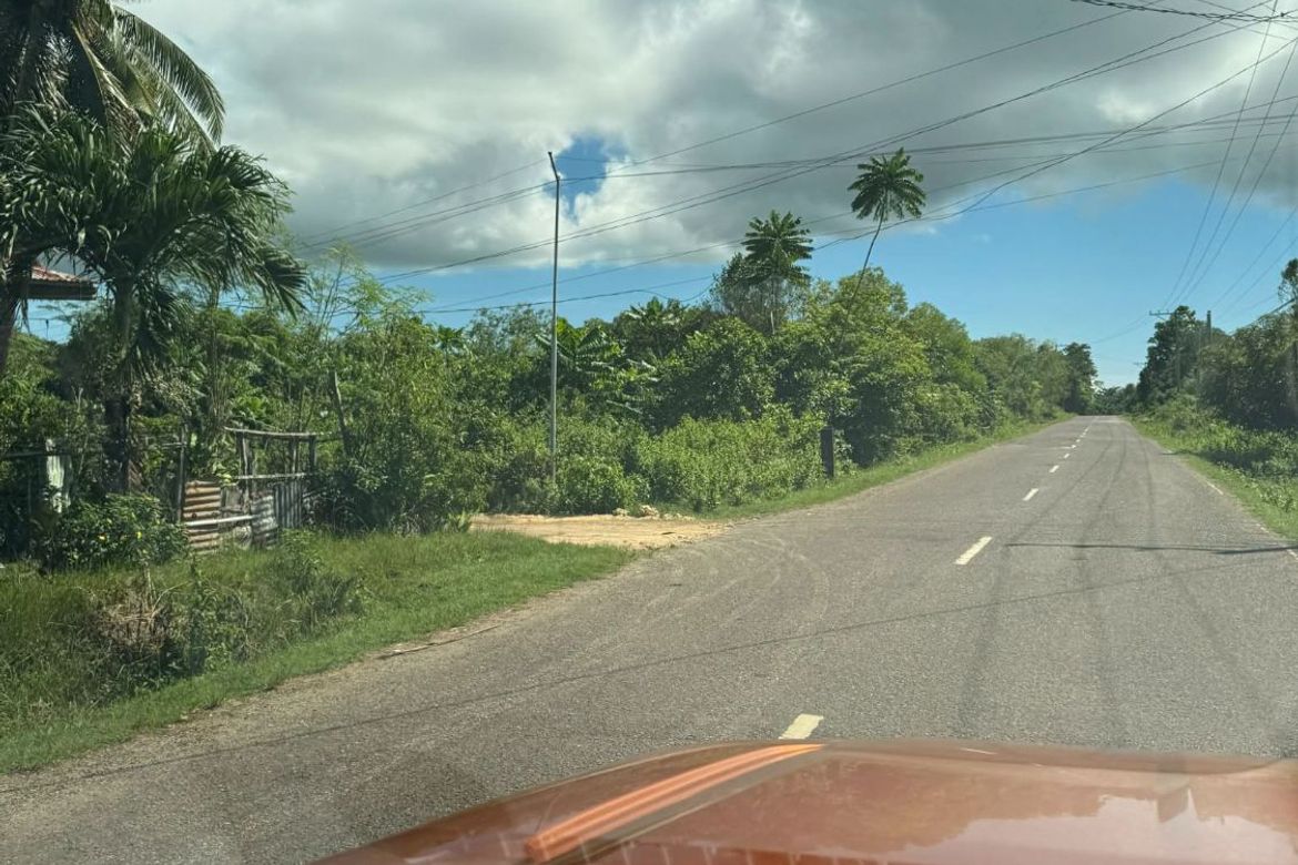 Land for Sale in Bingag, Dauis, Bohol