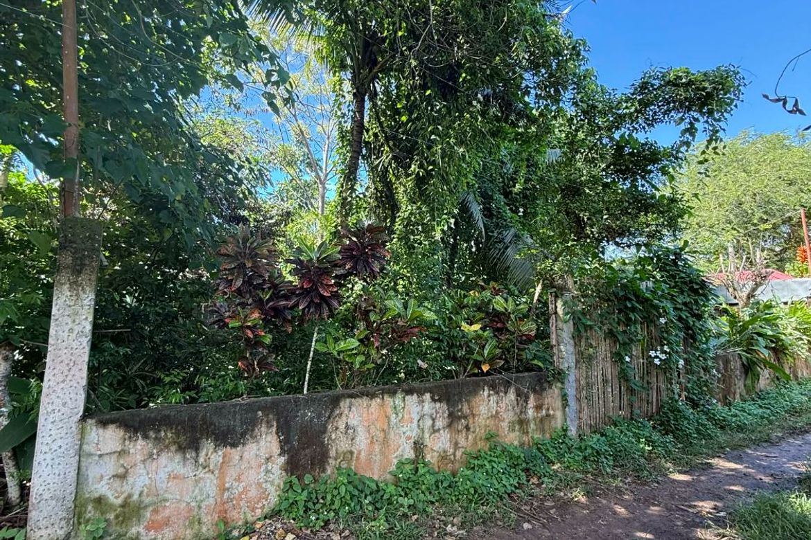Land for Sale in Bingag, Dauis, Bohol – photo 3