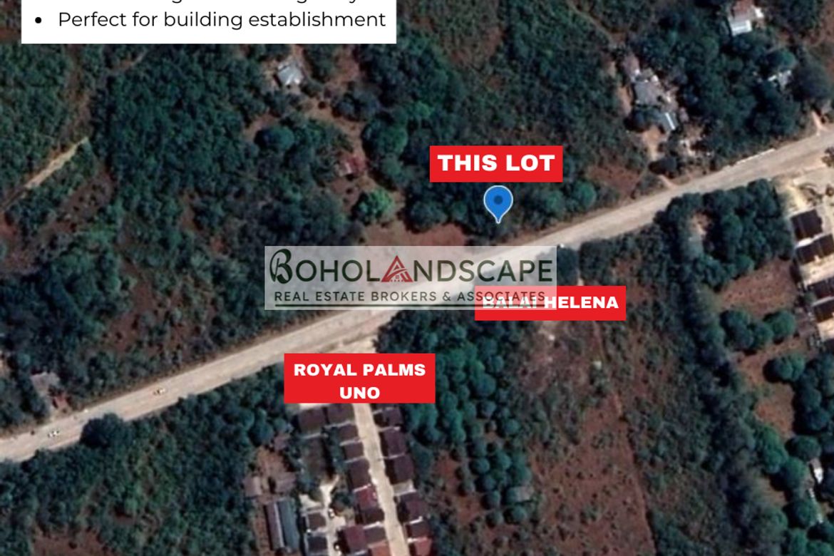Land for Sale in Bingag, Dauis, Bohol – photo 2