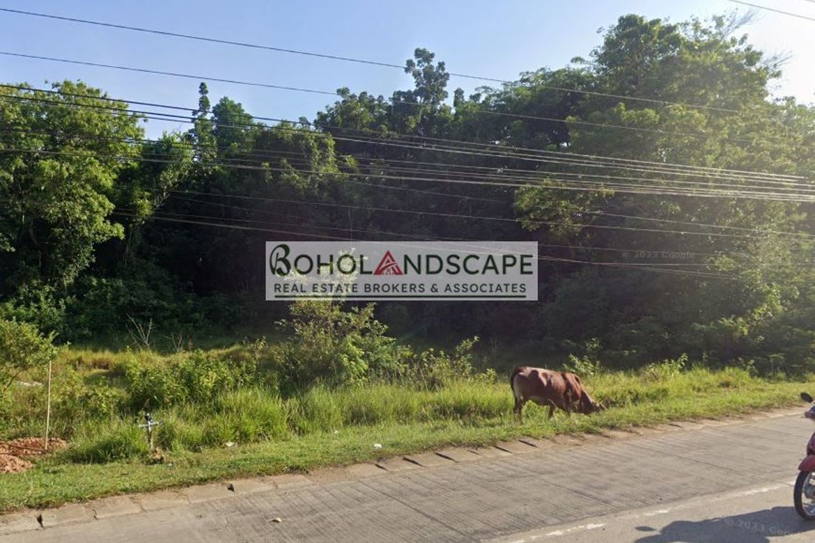 Land for Sale in Bingag, Dauis, Bohol – photo 3