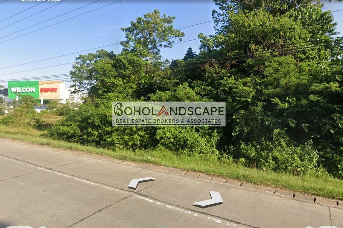 Land for Sale in Bingag, Dauis, Bohol – photo 4