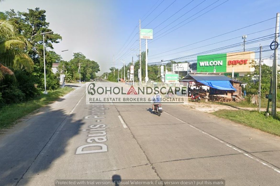 Land for Sale in Bingag, Dauis, Bohol – photo 5